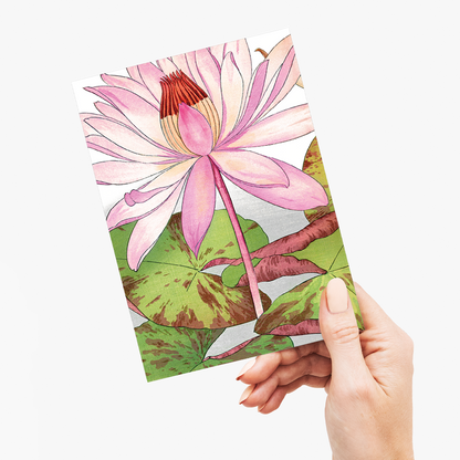Nymphaea Lotus By Tanigami Kônan - Wenskaart