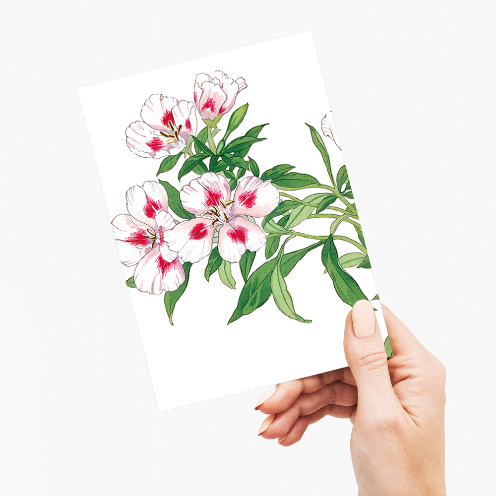 Godetia Flower By Tanigami Kônan - Wenskaart