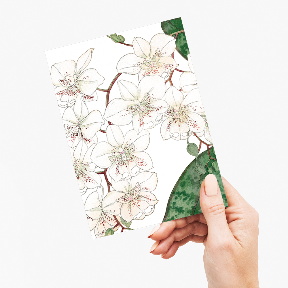 Moth Orchid By Tanigami Kônan - Wenskaart