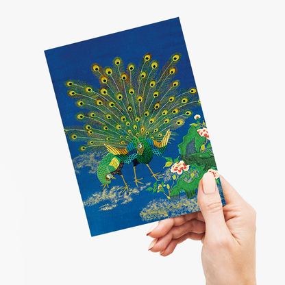 Peacock showing off to peahen - Greeting Card