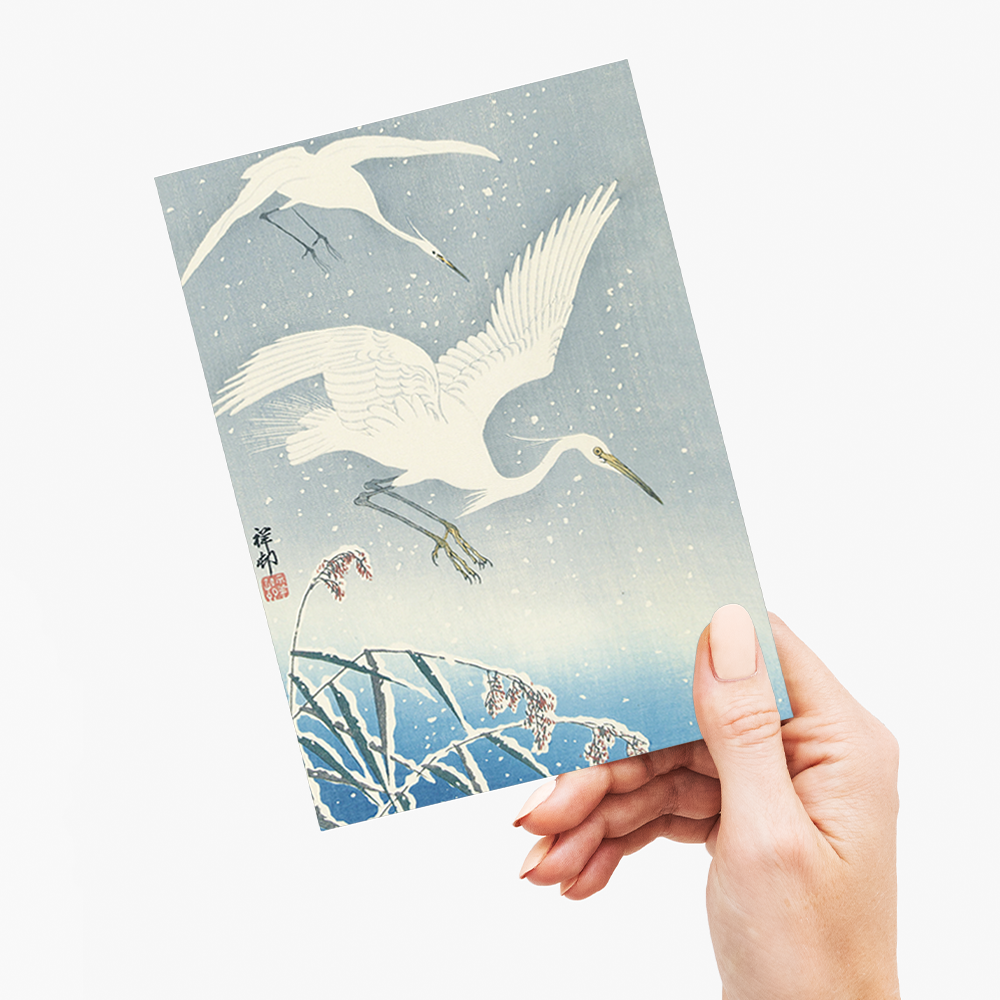 Descending egrets in snow - Greeting Card