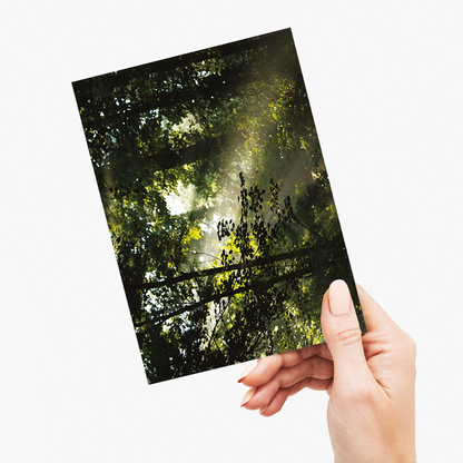 An early morning scene in Davidson River Campground - Greeting Card
