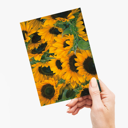 Bunch of sunflowers - Greeting Card