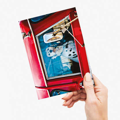 Dalmatian sitting in red car - Greeting Card