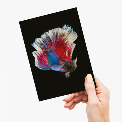 betta fish - Greeting Card