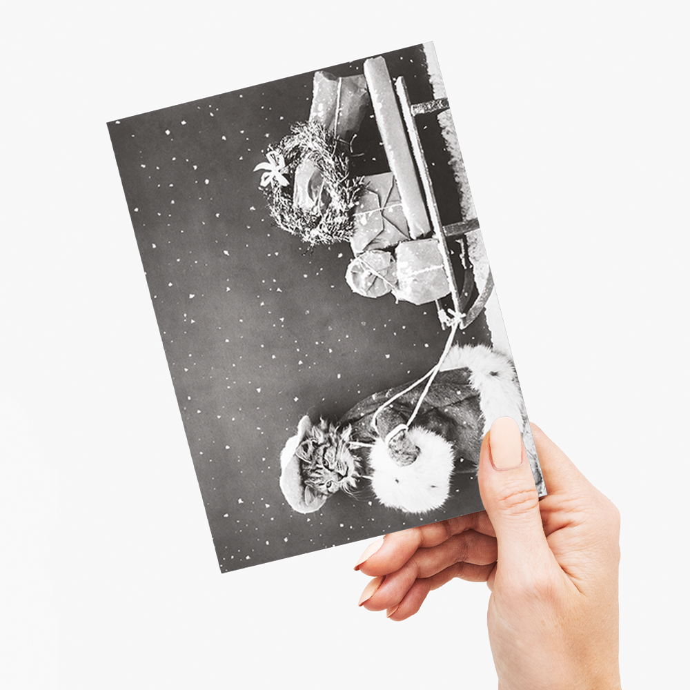 Santa Cat - Greeting Card