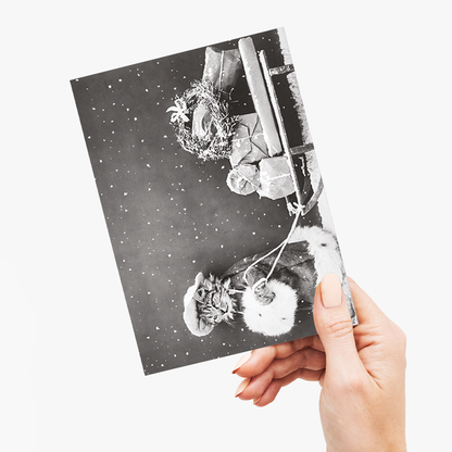 Santa Cat - Greeting Card
