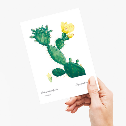 Aloe Opuntia Polyanthos By Pierre-Joseph Redouté - Wenskaart