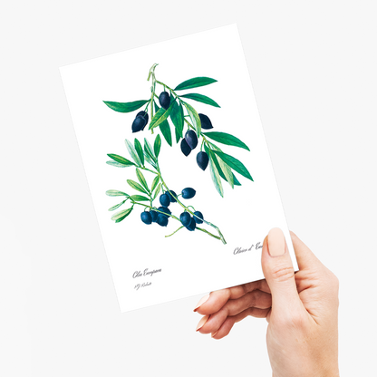 Olive By Pierre-Joseph Redouté - Wenskaart