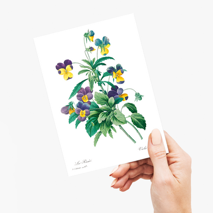 Wild pansy By Pierre-Joseph Redouté - Wenskaart