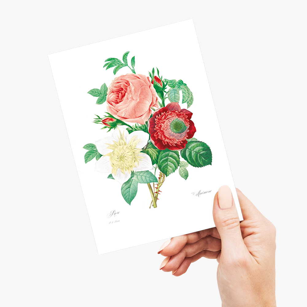 Anemone and cabbage rose By Pierre-Joseph Redouté - Wenskaart
