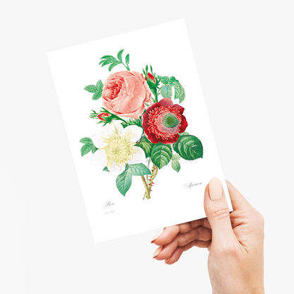 Anemone and cabbage rose By Pierre-Joseph Redouté - Wenskaart