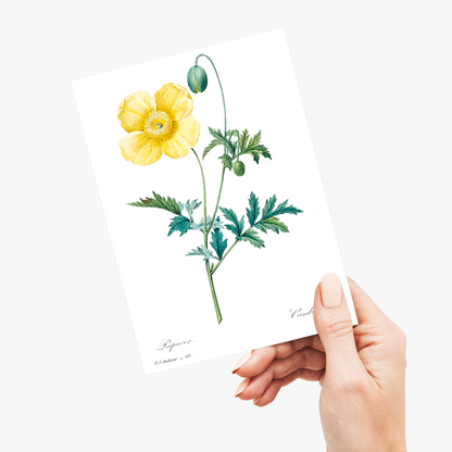 Welsh poppy by Pierre-Joseph Redouté - Wenskaart