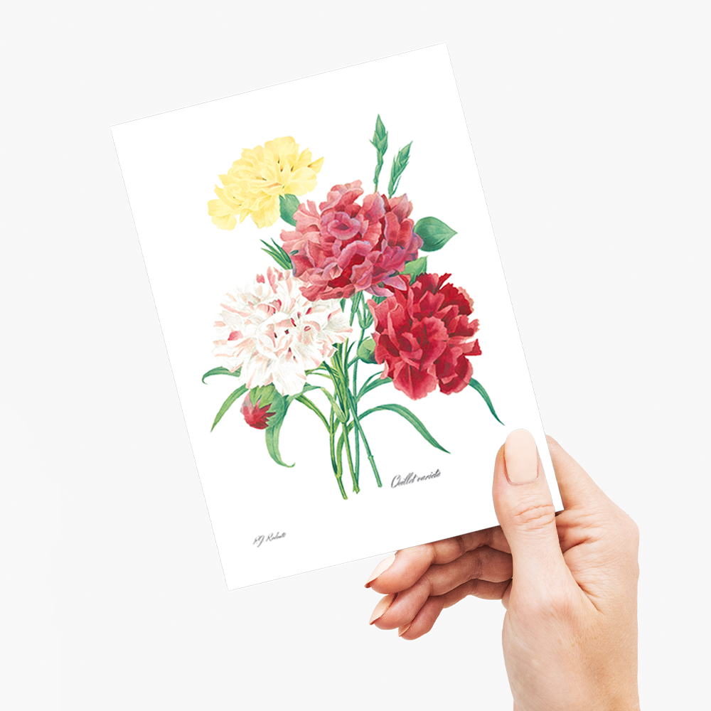 Carnation By Pierre-Joseph Redouté - Wenskaart