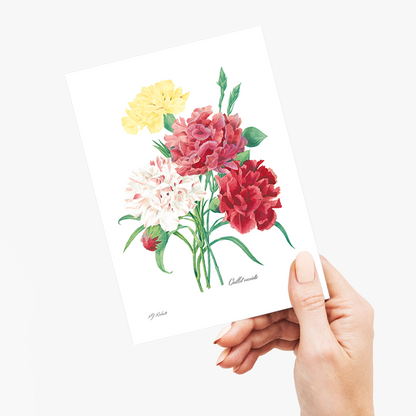 Carnation By Pierre-Joseph Redouté - Wenskaart