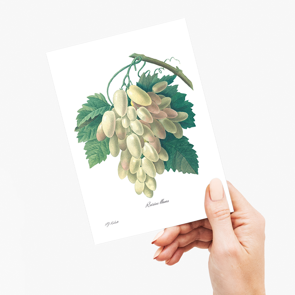 White Grape By Pierre-Joseph Redouté - Wenskaart