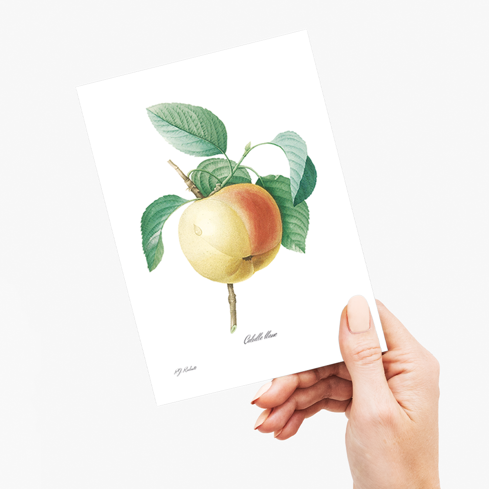 Apple by Pierre-Joseph Redouté - Wenskaart