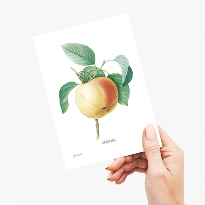 Apple by Pierre-Joseph Redouté - Wenskaart