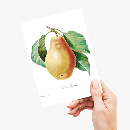 Pear by Pierre-Joseph Redouté - Wenskaart