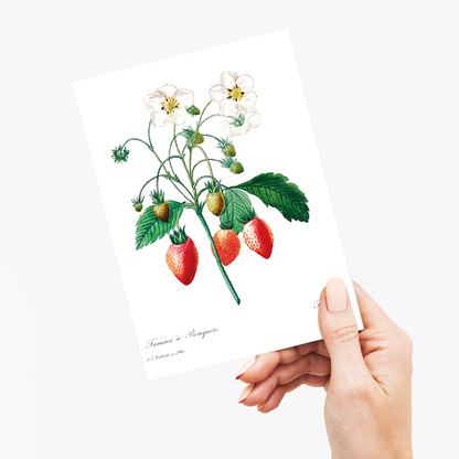 Strawberry by Pierre-Joseph Redouté - Wenskaart