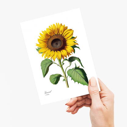 Sunflower - Wenskaart