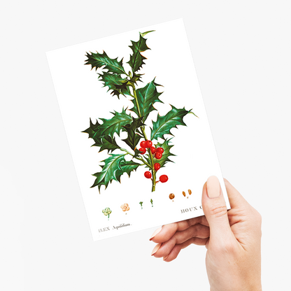 Common Holly By Pierre-Joseph Redouté - Wenskaart