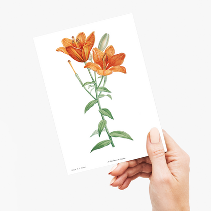 Orange bulbous lily By Pierre-Joseph Redouté - Wenskaart