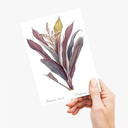 Cordyline fruticosa By Pierre-Joseph Redouté - Wenskaart