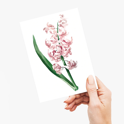Pink Hyacinth By Pierre-Joseph Redouté - Wenskaart
