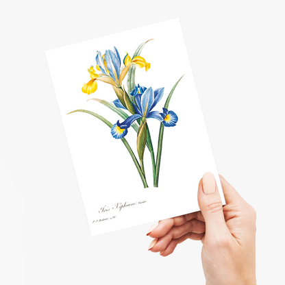 Spanish iris By Pierre-Joseph Redouté - Wenskaart