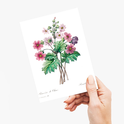 The Chinese primrose By Pierre-Joseph Redouté - Wenskaart