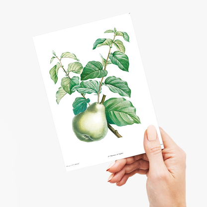 Pear fruit By Pierre-Joseph Redouté - Wenskaart