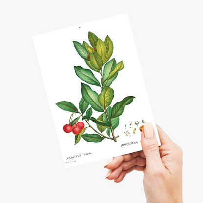 Strawberry tree By Pierre-Joseph Redouté - Wenskaart