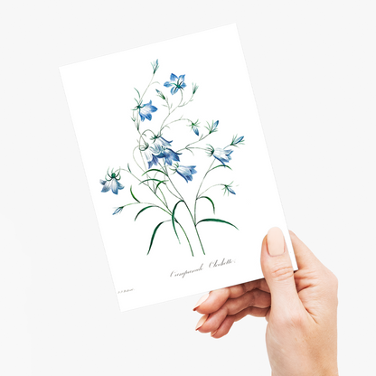 Campanule  By Pierre-Joseph Redouté - Wenskaart