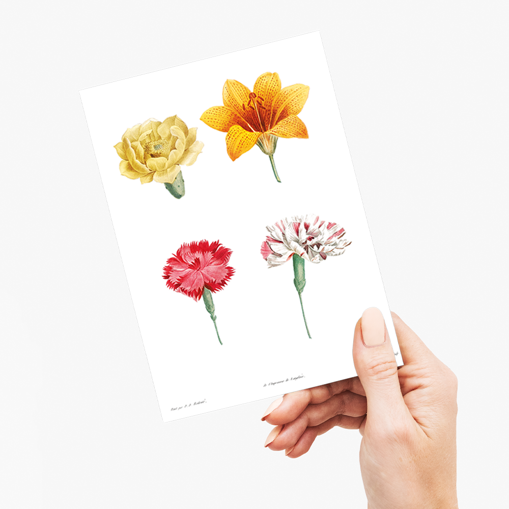 Flower set from La Botanique de J. J. Rousseau By Pierre-Joseph Redouté - Wenskaart
