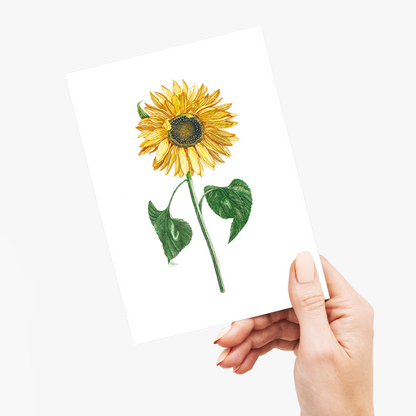 A sunflower by Johan Teyler  - Wenskaart