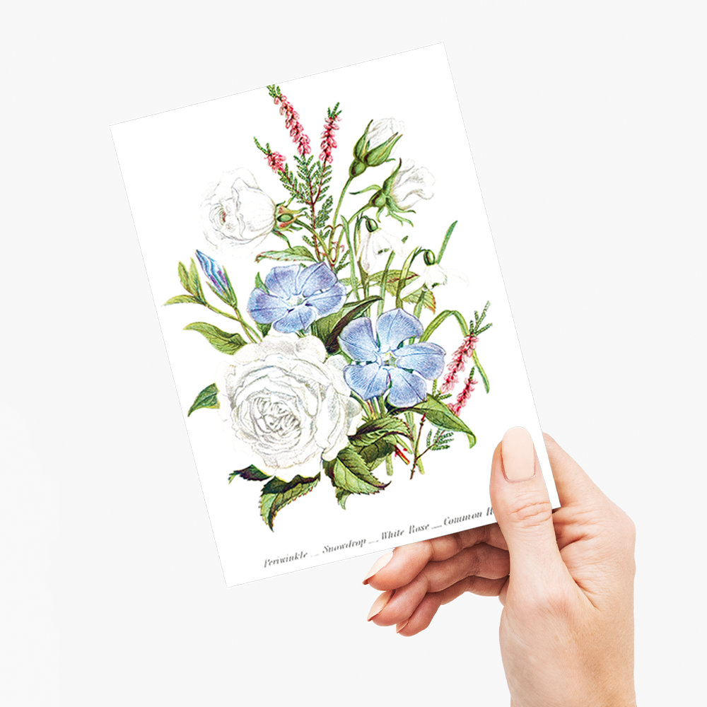 Periwinkle, Snowdrop, White Rose and Common Heath - Wenskaart