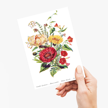 Scarlet Ipomoea, Honeysuckle, White Heath and Sweet Sulian - Wenskaart