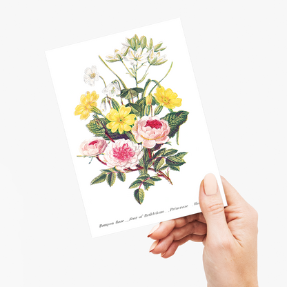 Pompon Rose, Star of Bethlehem, Primrose and Wood Sorrel - Wenskaart