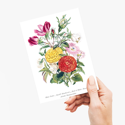 White Violet, Small Bindweed, Red and White Rosebud and Asiatic Ranunculus - Wenskaart