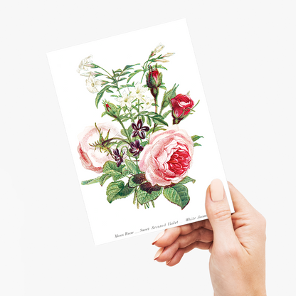 Moss Rose, Sweet Scented Violet and White Jasmine - Wenskaart