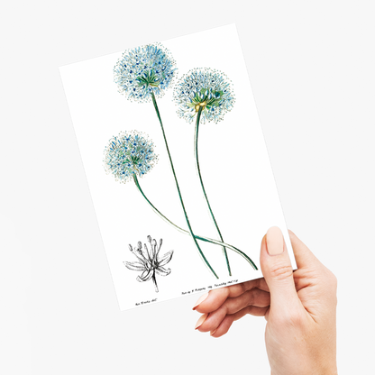 Blue leek - Wenskaart