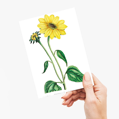 Trumpet stalked sunflower - Wenskaart