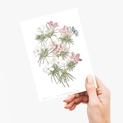 Thick-flowered slender-tube - Wenskaart