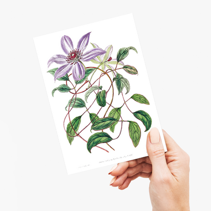 Violet clematis flower - Wenskaart