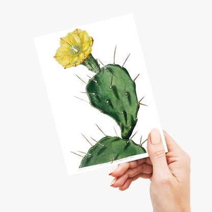 One spined opuntia - Wenskaart