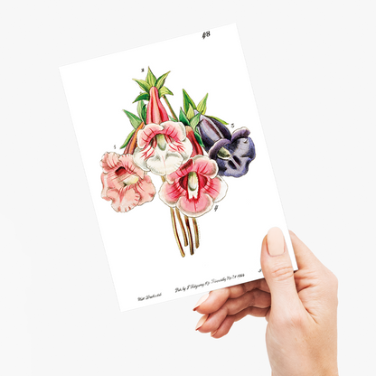 Gloxinia flower varieties - Wenskaart