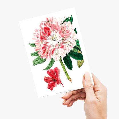 The lovely rhododendron - Wenskaart