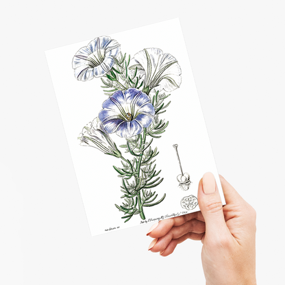 Sky blue alona - Wenskaart