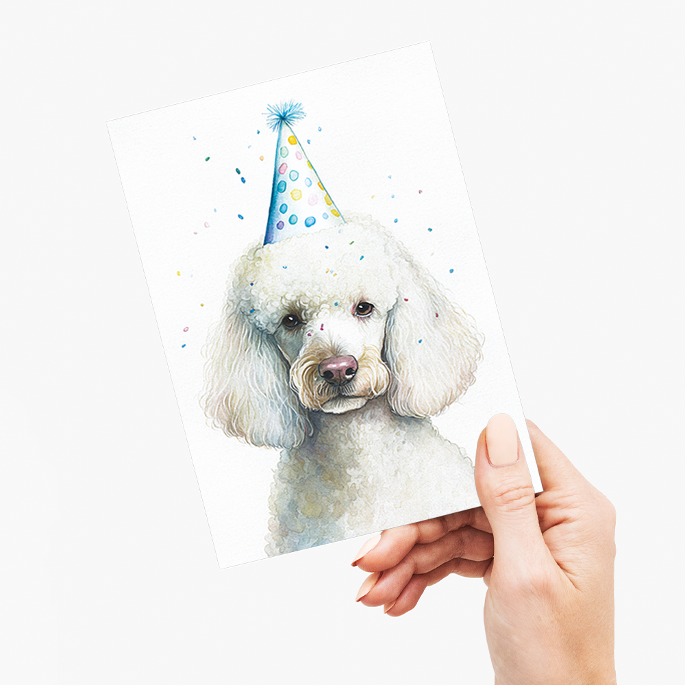 White poodle wearing a party hat - Greeting Card